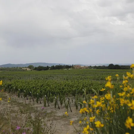 Poggio Al Tufo *