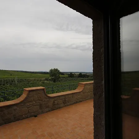 Poggio Al Tufo
