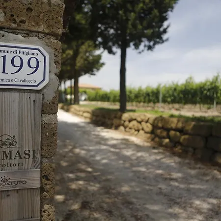 Poggio Al Tufo