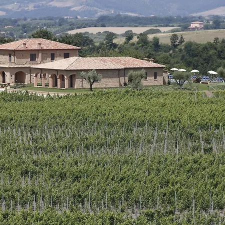 Poggio Al Tufo *