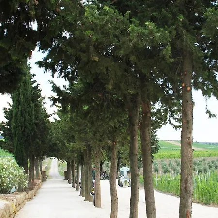 팜스테이 Poggio Al Tufo *
