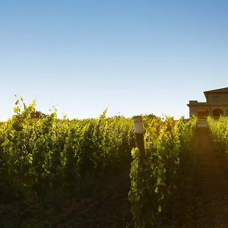 Poggio Al Tufo 팜스테이